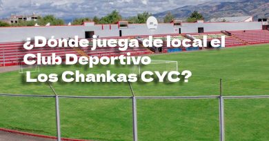 ¿Dónde juega de local el Club Deportivo Los Chankas CYC?